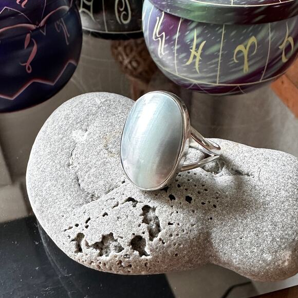 Natural Nautilus Sea Shell Sterling Silver Ring Size 10.5 - Picture 1 of 12